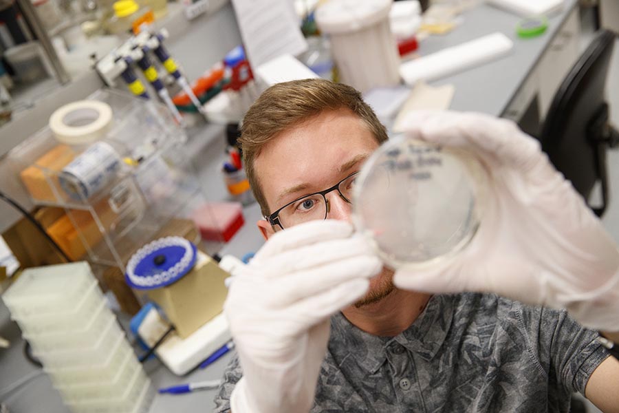 Graduate student conducts plant research with a petri dish