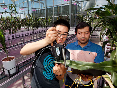 2 researchers working on a plant experiment in a greenhouse